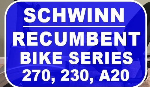 Schwinn Recumbent Bike Series