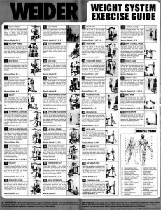 weider 6900 exercise chart