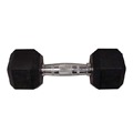 Hex 35 Lbs Dumbbell