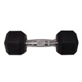 Rubber Hex 15Lbs Dumbbell